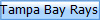 Tampa Bay Rays