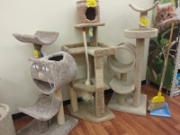 2015-01-27-19-13-05