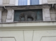 elephant address