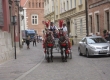 horse & buggy with cars