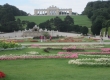 Schonbrunn Garden 4