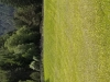 2019-06-14 14.59.24