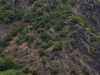 2019-06-10 10.58.55