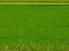 20190615_140453